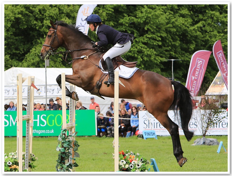 Bramham Horse Trials 2012 Horse Jump(18)