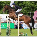 Bramham Horse Trials 2012 Horse Jump(18)