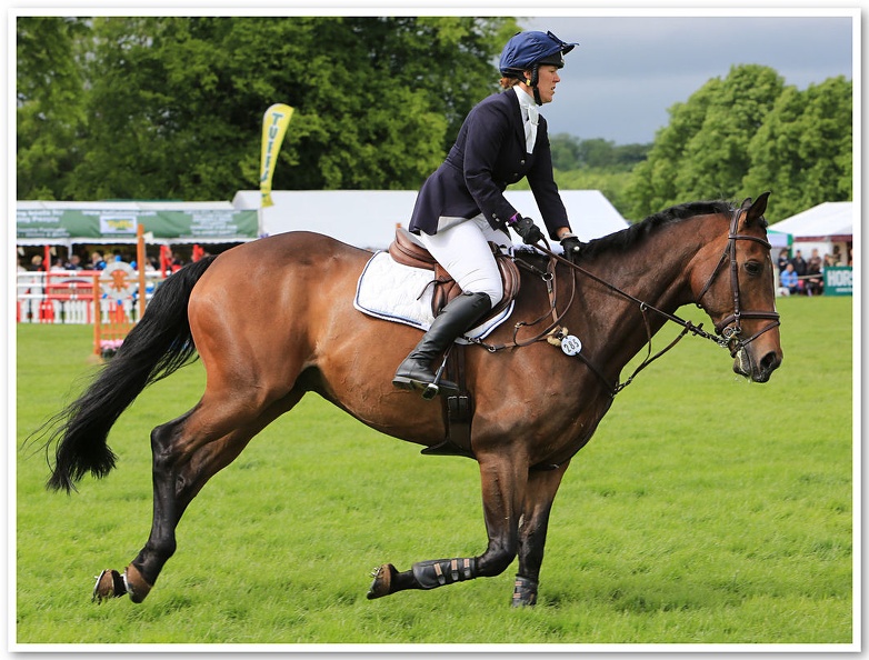 Bramham Horse Trials 2012 Horse Jump(17)