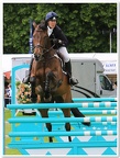 Bramham Horse Trials 2012 Horse Jump(16)