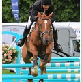 Bramham Horse Trials 2012 Horse Jump(15)