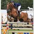 Bramham Horse Trials 2012 Horse Jump(13)