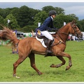 Bramham Horse Trials 2012 Horse Jump(11)