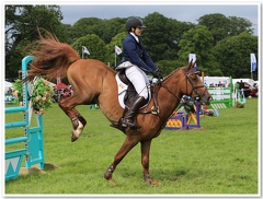 Bramham Horse Trials 2012 Horse Jump(10)