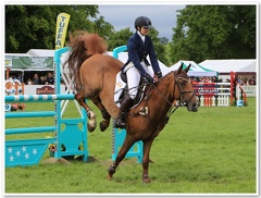 Bramham Horse Trials 2012 Horse Jumpi(6)