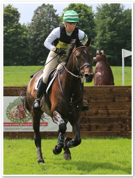 Bramham Horse Trials 2012 XC(133)
