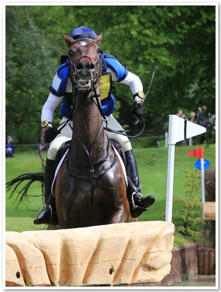 Bramham Horse Trials 2012 XC(29)