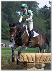 Bramham Horse Trials 2011(6)