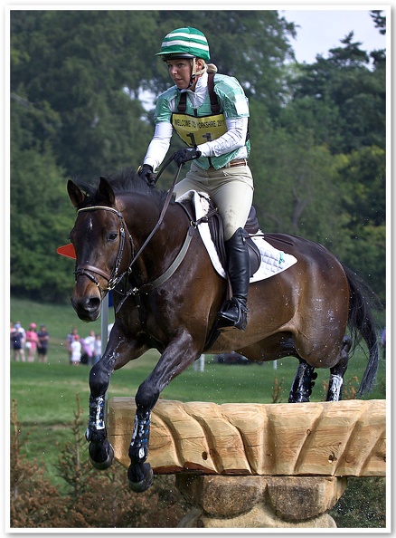 Bramham Horse Trials 2011(6)