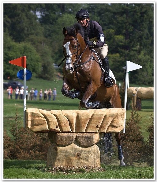 Bramham Horse Trials 2011(3)