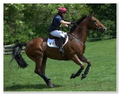 Bramham Horse Trials 2009(6)