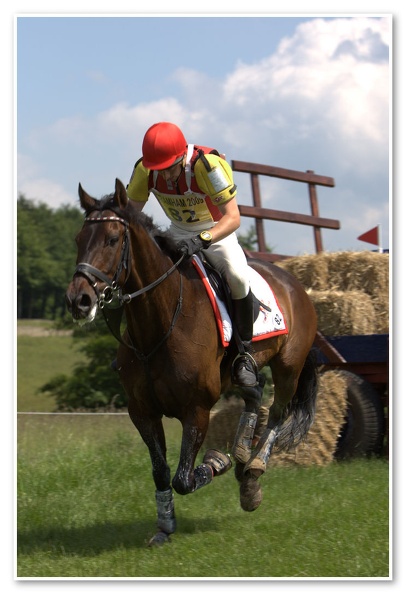 Bramham Horse Trials 2009(3)