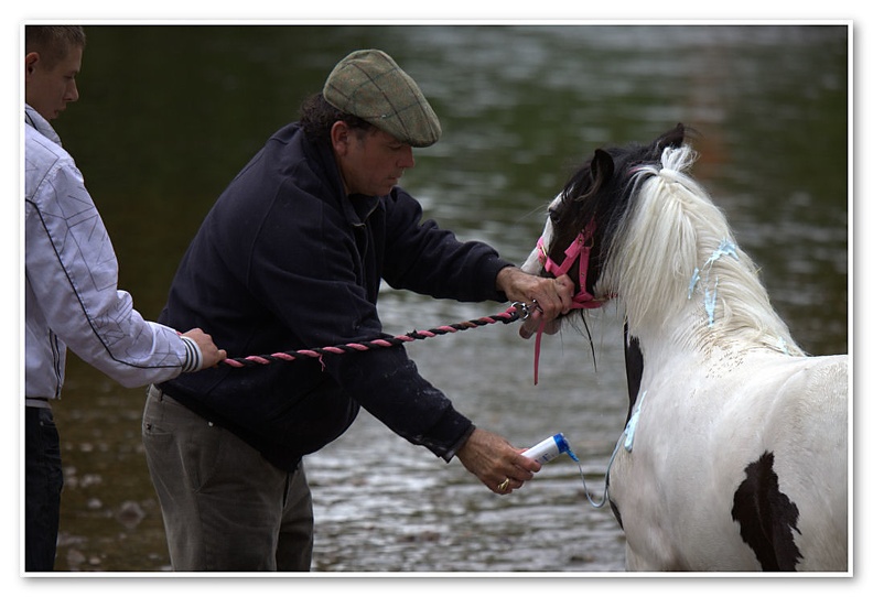 Appleby Horse Fair 2009(58)