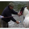 Appleby Horse Fair 2009(58)