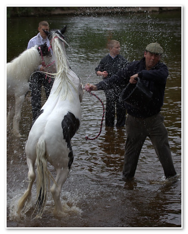 Appleby Horse Fair 2009(59)