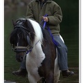 Appleby Horse Fair 2009(65)