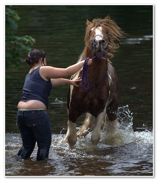 Appleby Horse Fair 2009