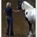 Appleby Horse Fair 2009(67)