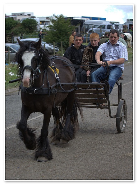 Appleby Horse Fair 2009(50)