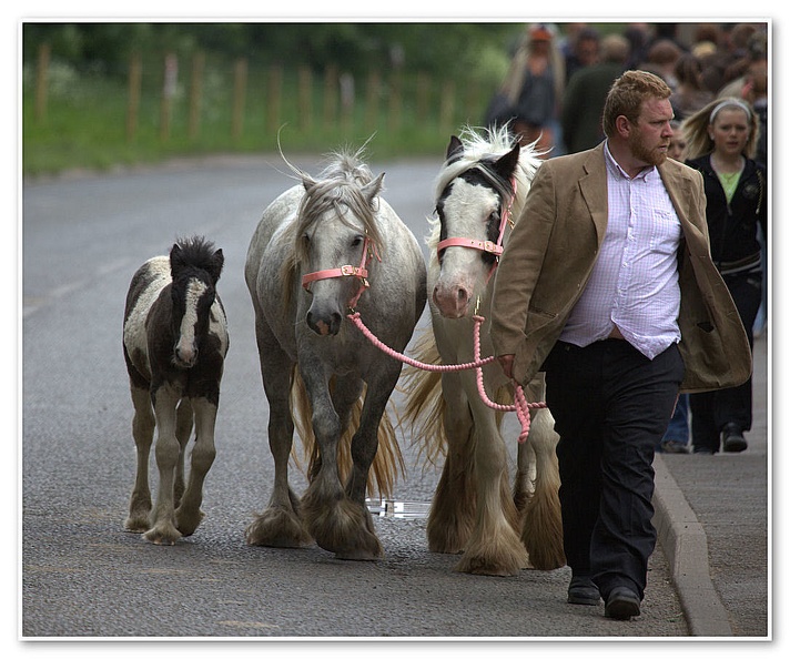 Appleby Horse Fair 2009(32)