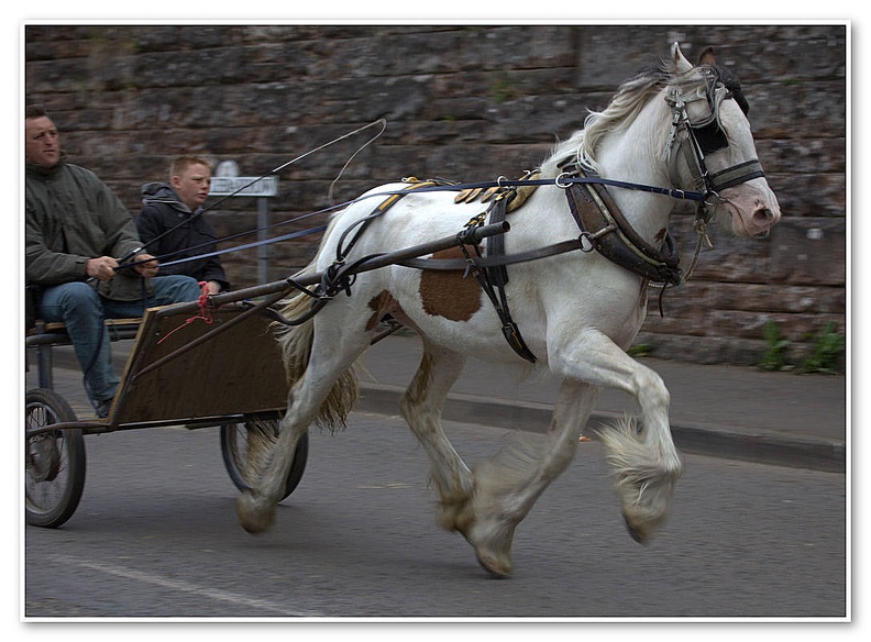 Appleby Horse Fair 2009(53)