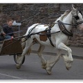Appleby Horse Fair 2009(53)