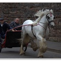 Appleby Horse Fair 2009(54)
