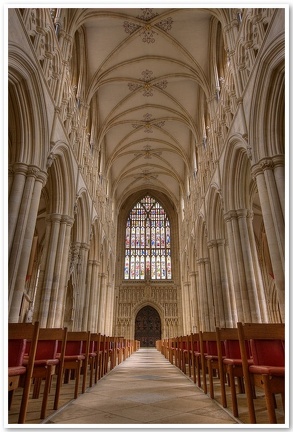 Beverley Minster, Oct 2008(20)