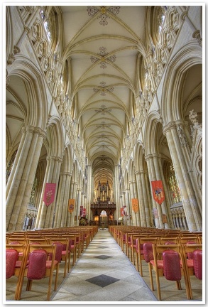 Beverley Minster, Oct 2008(6)