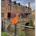 Lone Poppy, Thwaite Mill