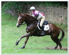 Bramham Horse Trials 2008(70)