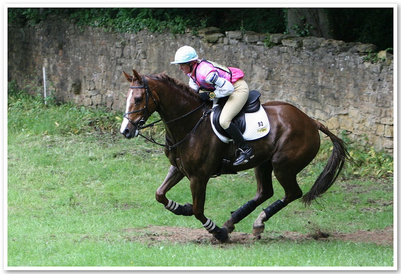 Bramham Horse Trials 2008(4)