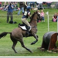 Bramham Horse Trials 2008(20)