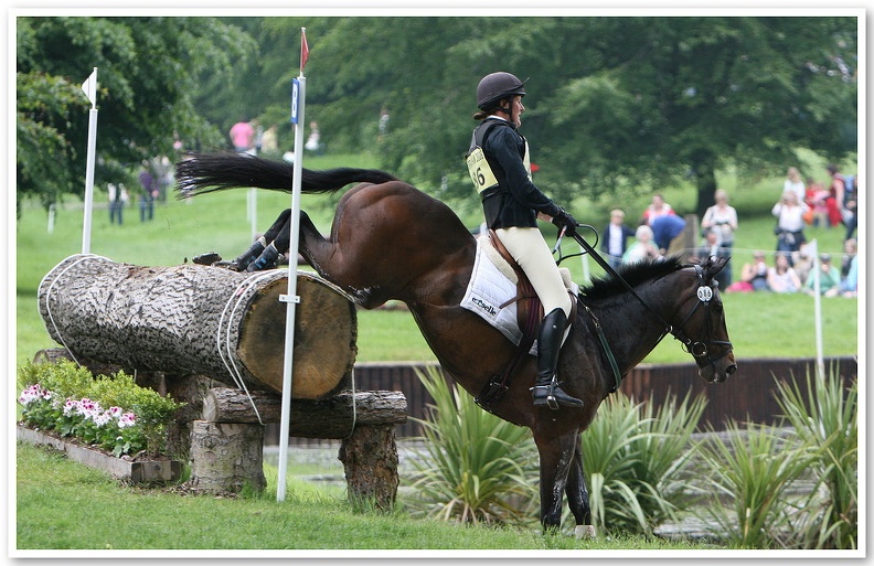 Bramham Horse Trials 2008(10)