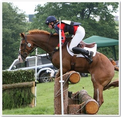 Bramham Horse Trials 2008(29)