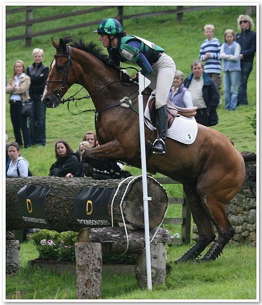 Bramham Horse Trials 2008(12)