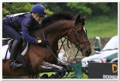 Bramham Horse Trials 2008(125)(1)(1)(2)