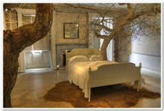 Bed & Tree!!