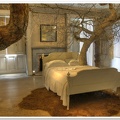 Bed & Tree!!