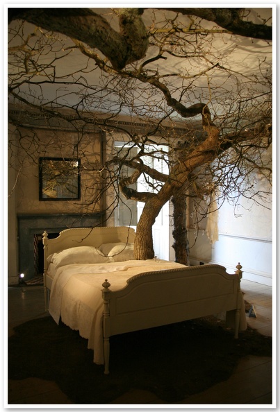 Tree in Bedroom