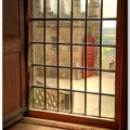View through the Window