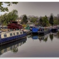 Rodley Canal(7)