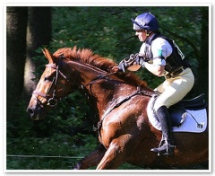 Bramham Horse Trials 2006(17)