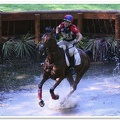 Bramham Horse Trials 2006(10)