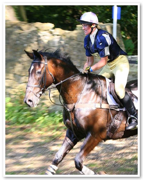 Bramham Horse Trials 2006(6)