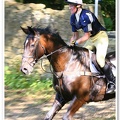 Bramham Horse Trials 2006(6)