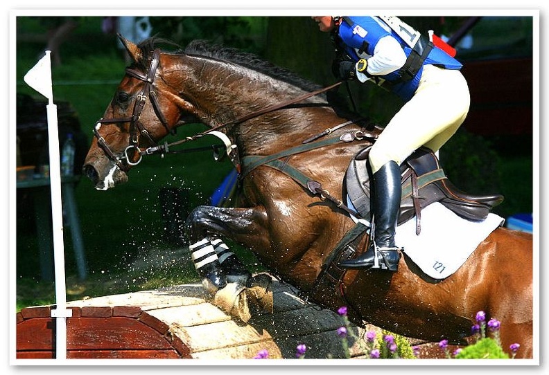 Bramham Horse Trials 2006(18)