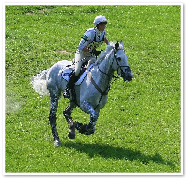 Bramham Horse Trials 2006(49)