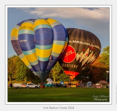 28-York Balloon Fiesta 2018 - (6457 x 5809)