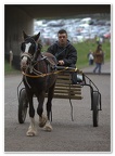 Appleby Horse Fair 2009(52)
